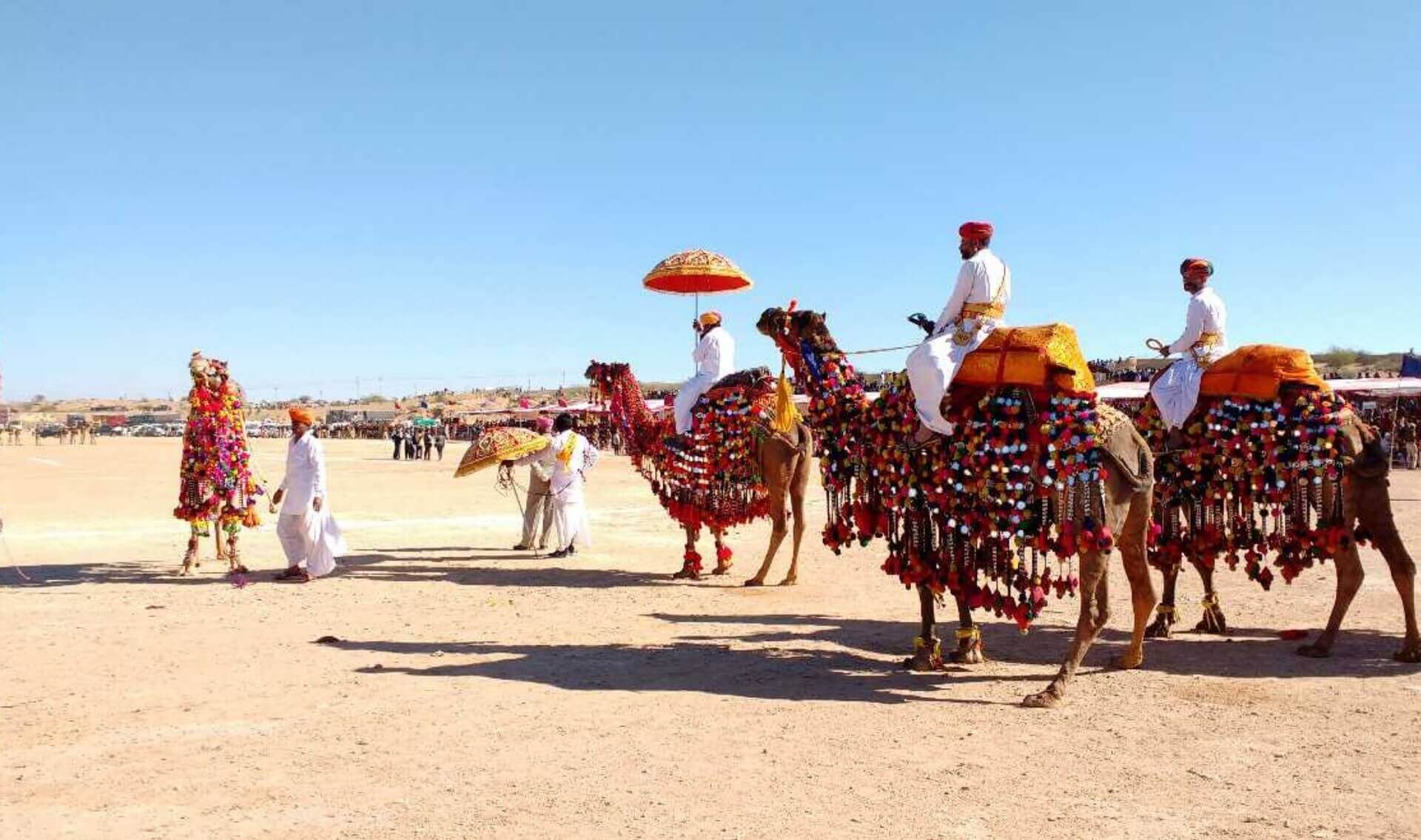 10 Best Desert Safari Tours in Rajasthan - 2019 (with 1879 ...