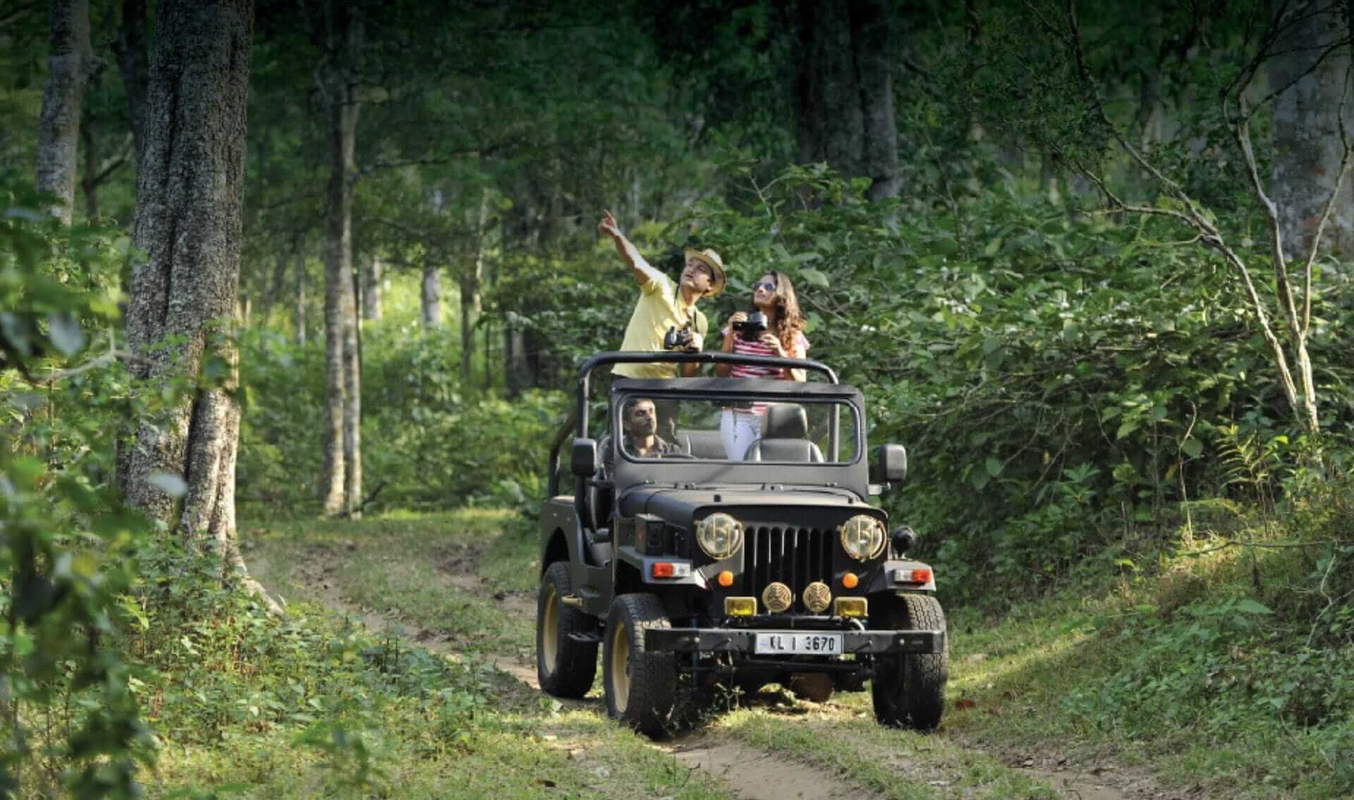 safari jeep ride on